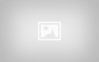 Xv The North Face Shop